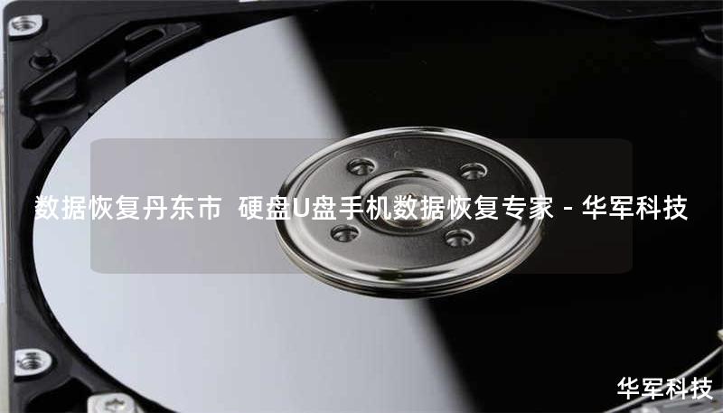 数据恢复丹东市  硬盘U盘手机数据恢复专家 - 技王