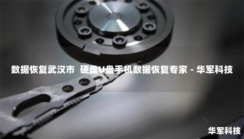 数据恢复武汉市  硬盘U盘手机数据恢复专家 - 技王
