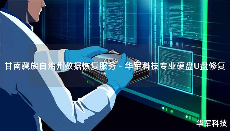 甘南藏族自治州数据恢复服务 - 技王专业硬盘U盘修复