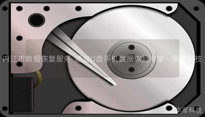 内江市数据恢复服务  硬盘U盘手机数据恢复专家 - 技王