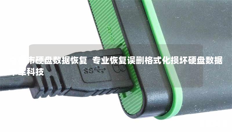 白银市专业硬盘数据恢复服务，技王提供误删、格式化、物理损坏等全场景数据抢救方案。覆盖北京、上海等9城直营中心，恢复成功率98%，紧急情况2小时响应。免费咨询：400-675-9388