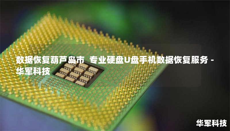 数据恢复葫芦岛市  专业硬盘U盘手机数据恢复服务 - 技王
