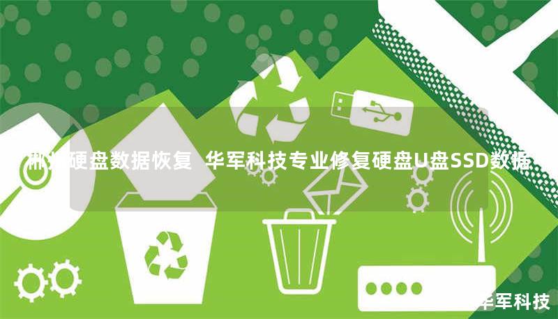 郴州专业硬盘数据恢复服务：技王提供机械硬盘、SSD、RAID阵列等设备的数据抢救，覆盖误删、格式化、物理损坏等场景，成功率达98%，紧急情况2小时响应。