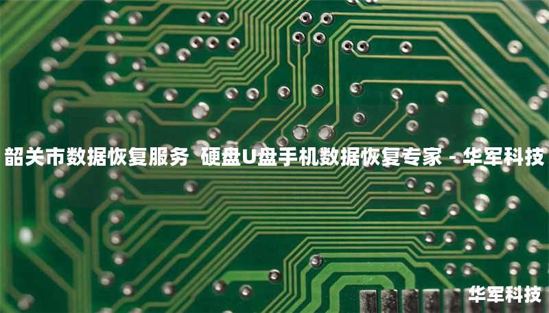 韶关市数据恢复服务  硬盘U盘手机数据恢复专家 - 技王