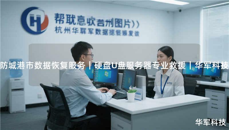 防城港市数据恢复服务｜硬盘U盘服务器专业救援｜技王