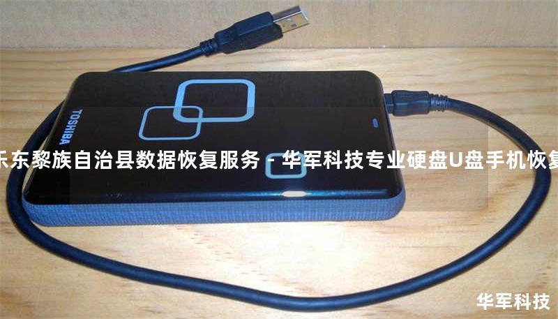 乐东黎族自治县专业数据恢复服务，技王提供硬盘/U盘/手机误删、格式化、进水等故障恢复，覆盖北京上海等9城直营，案例成功率98%，紧急咨询400-675-9388