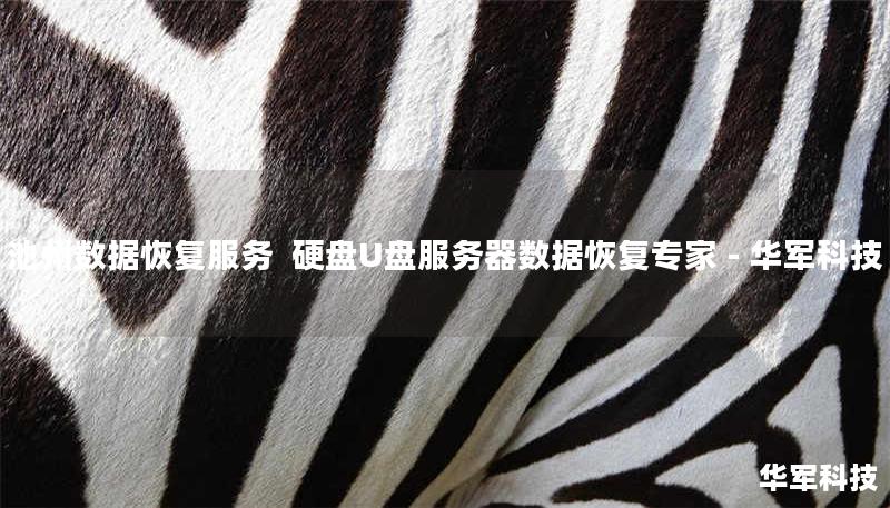 池州市专业数据恢复服务：技王提供硬盘/U盘/服务器数据恢复，覆盖逻辑损坏、物理损坏等复杂场景，全国10城直营恢复中心，免费检测热线400-675-9388。