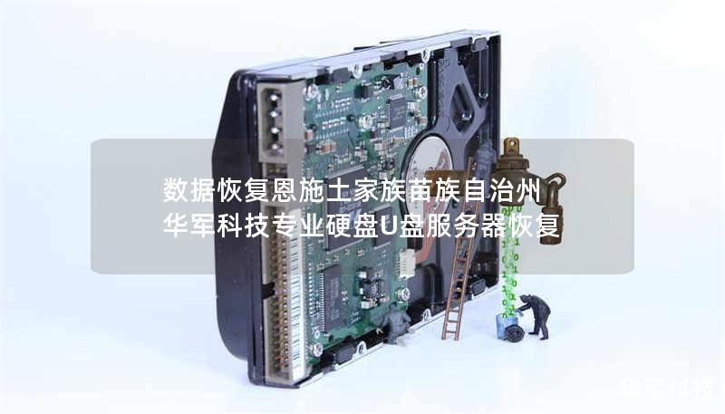 数据恢复恩施土家族苗族自治州  技王专业硬盘U盘服务器恢复