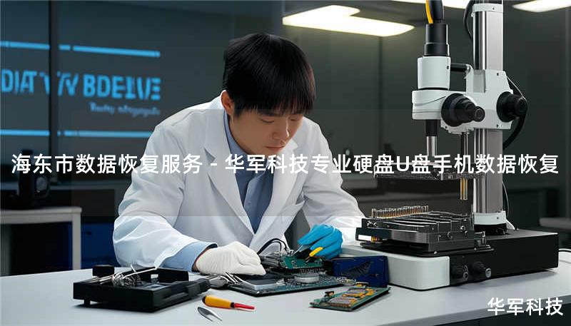 海东市数据恢复服务 - 技王专业硬盘U盘手机数据恢复